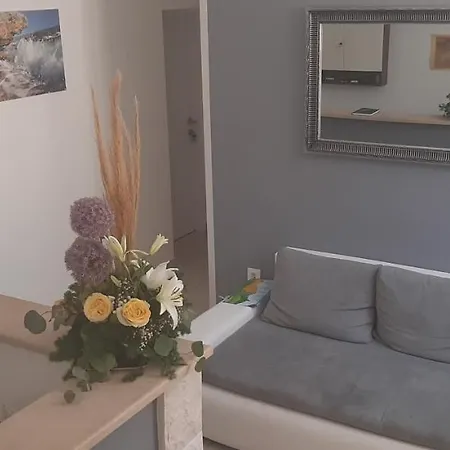 Apartment Rajski Dvor 1