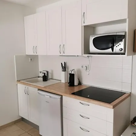 Rajski Dvor 1 דירה